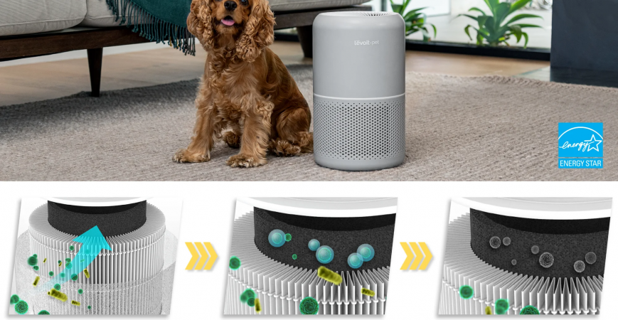 Levoit Core P350 - Máy lọc không khí cho thú cưng